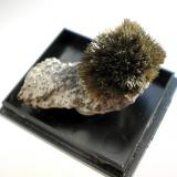 Millerite-"ball" (1,8 cm) on matrix from Pfannenberger Einigkeit mine, Salchendorf, Siegerland. (Author: Andreas Gerstenberg)