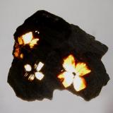 Andalusite var. chiastolite
Lancaster, Massachusetts, USA
4.5 x 5.0 cm.
Backlit thin slice. (Author: crosstimber)