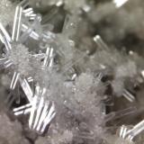 CelestinaIvorra, Comarca La Segarra, Lérida / Lleida, Cataluña / Catalunya, EspañaCristales de 5 x 1 mm (Autor: Jesus Franquesa Baucells)