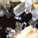 CelestinaIvorra, Comarca La Segarra, Lérida / Lleida, Cataluña / Catalunya, EspañaCristal más grande 3 x 1´5 mm. (Autor: Jesus Franquesa Baucells)