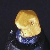 Cristal de Oro Nativo.
Sierra de la Chimenea, Talarrubias-Casas de Don Pedro, Badajoz, Extremadura, España.
Tamaño del cristal 4x3x3 mm. Detalle foto anterior. Col. y foto Nacho Gaspar. (Autor: Nacho)