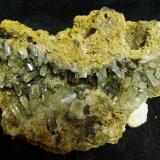 CelestinaUlea, Comarca Valle de Ricote, Región de Murcia (Murcia), España18 x 15 cm. (Autor: pardominer)