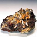 Wulfenite
Ojuela mine, Mapimi, Mexico
Specimen size:  6 x 4.5 x 3 cm. Crystal size: 1 cm. (Author: Leon56)