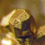 Oro
Rosia Montana, Transylvania, Rumanía, Europa. 
Cristal (aprox. 1,5 mm.).
Col. y foto Nacho Gaspar. (Autor: Nacho)