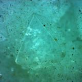 A larger veiw of one of the crystals. FOV 4 mm. (Author: Jim Prentiss)