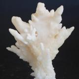 Aragonito coraloide 
Macael
Almeria
Andalucia
España
Medidas: 75 x 55 x 42 mm (Autor: Joan Martinez Bruguera)