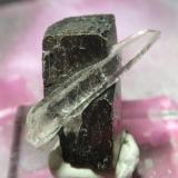 Hubnerita c/ cristal de roca  Mina Mundo Nuevo (Perú)  Tamaño 20 x 10 mm. (Autor: Ignacio)