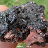 Kalahari manganese fields manganovesuvianite crystals on matrix-south africa.jpg (Author: Anton Potgieter)
