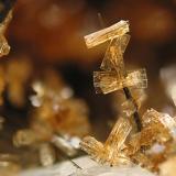 Stilbite with Aegirine
Big Rock Quarry, Granite Mountain area, Little Rock, Pulaski County, Arkansas, USA
Field of view: 3mm.
Photo &amp; Collection: Jean-Marc Johannet (Author: Jordi Fabre)