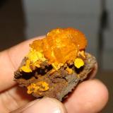 Hemimorphite fire
San Antonio, Chihuahua, Mexico.
Size: 4.5cm (Author: javmex2)