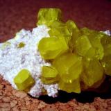 Sulphur. 
Cozzodisi Mine, Casteltermini, Agrigento Province, Sicily, Italy
Specimen size 80 x 50 x 50 mm. largest crystal ~25 mm. (Author: Tobi)