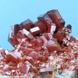 Vanadinite
Mibladene, Upper Moulouya lead district, Midelt, Khénifra Province, Meknès-Tafilalet Region, Morocco
111 mm x 92 mm. Major crystal: 11 mm wide, 3 mm thick

Close-up view (Author: Carles Millan)