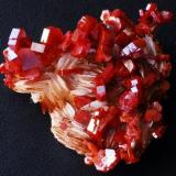 Vanadinite
Mibladen, Morocco
10x7 cm (Author: Enrique Llorens)