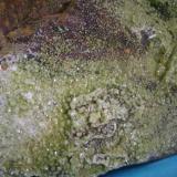 Piromorfita.<br />Grupo Minero "Juan Antonio", Paraje Las Minillas, Garlitos, Comarca La Siberia, Badajoz, Extremadura, España<br />13 X 10 X 9 centimetros ,cristales mayores 3 y 4 milimetros.<br /> (Autor: P. apita)