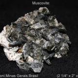 Muscovite #1.jpg (Author: Bruce Sevier)