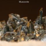 Muscovite #1F.jpg (Author: Bruce Sevier)