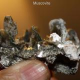 Muscovite #1E.jpg (Author: Bruce Sevier)