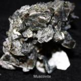 Muscovite #1D.jpg (Author: Bruce Sevier)