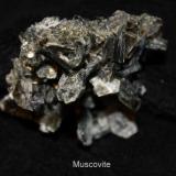 Muscovite #1C.jpg (Author: Bruce Sevier)