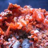 CROCOITE (Lead Chromate)
Source: Adelaide Mine, Dundas, Tasmania, Australia.
Size: 7 x 4 x 3.5 cm.

Detail (Author: Leon56)