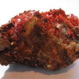 CROCOITE (Lead Chromate)

Source: Adelaide Mine, Dundas, Tasmania, Australia.
Size: 7 x 4 x 3.5 cm. (Author: Leon56)