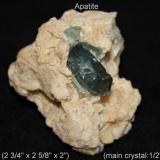 Apatite:
Canada
specimen size: 7 x 6.8 x 5.1cm
large crystal: 1.3 x 2.9 x 1.3cm
**Note: the (beige) matrix will change to pink, when back lit** (Author: Bruce Sevier)