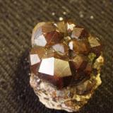 Very nice 6 cm Andradite garnet personally collected from Orogrande, New Mexico, USA - now on the White Sands Missile Range Museum collection. (Author: Darren)