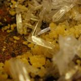 Close up - Hemimorphite, Mimetite combo from Mapimi, Durango, Mexico. (Author: Darren)