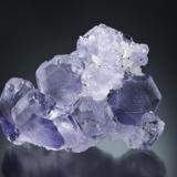 Fluorite, spinel twin group.
Naica, México. 
5x4 cm. (Author: Enrique Llorens)