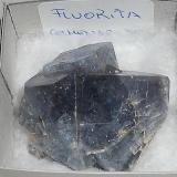 FluoritaMina Rosita, Colmenar del Arroyo, Comarca Sierra Oeste de Madrid, Comunidad de Madrid, España2.5 x 2.5 cm (Autor: juan manuel del valle)