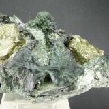 Pirita + Magnetita + Actinolita + Ferropargasita
Mina La  Herrería - (Banco Central) - Burguillos del Cerro - Badajoz - Extremadura - España
14 x 9 cm (Autor: Diego Navarro)