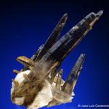 Cuarzo ahumado. 
Monte Malosa. Distrito Zomba. Malawi. 
6.6x3 cm. Cristal mayor 6 cm (Autor: Juan L)