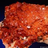 Vanadinita. 
ACF Mine area. Mibladen. Midelt. Marruecos. 
14.5x7 cm. Cristal mayor 0.8 cm. (Autor: Juan L)