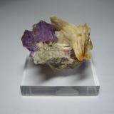 Fluorita con baritaLa Cabaña, Valdelmar, zona minera de Berbes, Berbes, Ribadesella, Comarca Oriente, Principado de Asturias (Asturias), España4,5 x 4 cm. (El cristal mayor mide 1cm.) (Autor: Darío Menéndez)