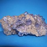 FluoritaMina La Viesca, zona minera de La Collada, Huergo, Siero, Comarca Oviedo, Principado de Asturias (Asturias), España9,5 x 4 cm. (El cristal mayor mide 1cm.) (Autor: Darío Menéndez)