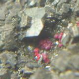 Cinabrio sobre PiritaGrupo Peña, El Terronal-La Peña, Mieres, Comarca Caudal, Principado de Asturias (Asturias), EspañaEncuadre de 1 cm. (Autor: Darío Menéndez)
