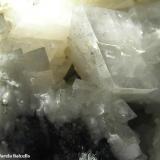 Dolomita.Cantera Azcárate (Azkarate), Eugui, Esteríbar, Comarca Auñamendi, Comunidad Foral de Navarra (Navarra), EspañaEncuadre 3 x 2 cm. aprox. (Autor: Frederic Varela)