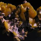 Wulfenita.
Touissit, Oujda, Marruecos.
5,5x4x2,2 cm.
Cristales hasta 1,5 cm. Col. y foto Nacho Gaspar. (Autor: Nacho)