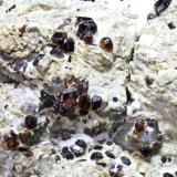 Granate Spessartina (Espesartina)
Trascastillo - Cártama - Málaga
Pieza de 16x10 cm. cristal mayor 0,7 cm.
Detalle de la pieza anterior (Autor: El Coleccionista)