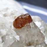 Granate Spessartina (Espesartina)
Trascastillo - Cártama - Málaga
Pieza de 4,5x3 cm. cristal mayor 0,4 cm.
Detalle de la pieza anterior (Autor: El Coleccionista)