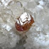 Granate Spessartina (Espesartina)
Trascastillo - Cártama - Málaga
Pieza de 4,5x3 cm. cristal mayor 0,4 cm.
Detalle de la pieza anterior (Autor: El Coleccionista)