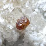 Granate Spessartina (Espesartina)
Trascastillo - Cártama - Málaga
Pieza de 4,5x3 cm. cristal mayor 0,4 cm.
Detalle de la pieza anterior (Autor: El Coleccionista)