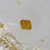 Granate Spessartina (Espesartina)
Trascastillo - Cártama - Málaga
Pieza de 7x5 cm. cristal mayor 0,4 cm.
Detalle de la foto anterior (Autor: El Coleccionista)