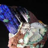 Azurita.
Mina Copper Queen, Cochise Co., Arizona, EE.UU.
4x3x3 cm.
Cristal de 2x1,1x1 cm. Col. y foto Nacho Gaspar. (Autor: Nacho)