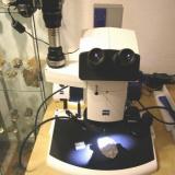 Estereomicroscopio. (Autor: Cesar M. Salvan)