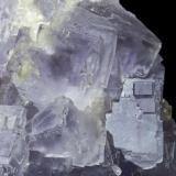 Fluorita
Cantera Los Cobayos (Paredona) - Berbes - Asturias
Pieza de 24x18 cm. cristal mayor 8 cm.
Detalle de la pieza anterior (Autor: El Coleccionista)