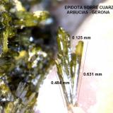 Epidota y Cuarzo<br />Arbúcies, Comarca La Selva, Massís del Montseny, Gerona / Girona, Cataluña / Catalunya, España<br />0.484 x 0.631 x 0.125 mm.<br /> (Autor: Jesus Franquesa Baucells)
