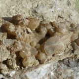 CalcitaPlana de Vic, Comarca Osona, Barcelona, Catalonia / Catalunya, Spain (Autor: Jesus Franquesa Baucells)