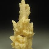Calcite after coral<br />Key Largo (Cayo Largo), Florida Keys Archipelago, Monroe County, Florida, USA<br />12.4 cm. high<br /> (Author: Jordi Fabre)