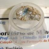 Euclasa
Pegmatita Alto do Giz, Equador, Borborema mineral province, Rio Grande do Norte, Brasil
2,3 x 1,3cm (Autor: Anisio Claudio)